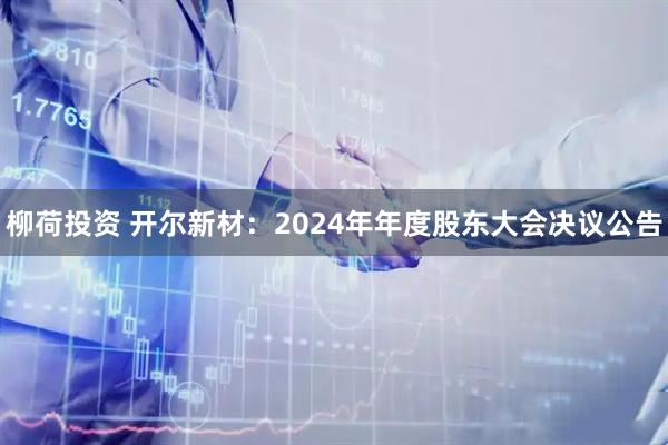 柳荷投资 开尔新材：2024年年度股东大会决议公告