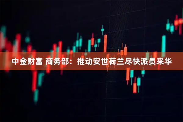 中金财富 商务部：推动安世荷兰尽快派员来华
