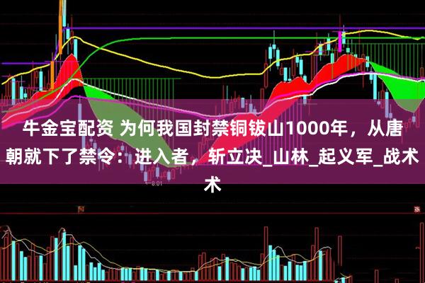 牛金宝配资 为何我国封禁铜钹山1000年，从唐朝就下了禁令：进入者，斩立决_山林_起义军_战术